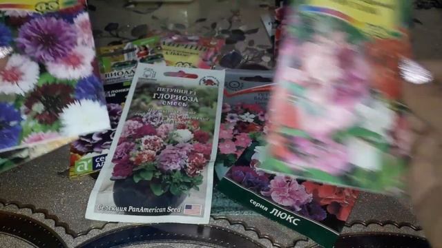 Цветы на 2023 год, не реклама. Мой выбор цветов. смотреть онлайн