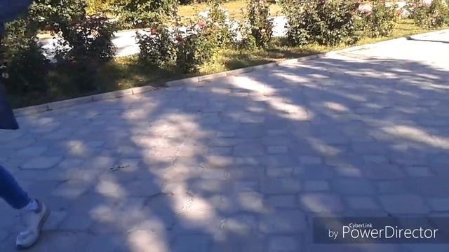 Нужны ПЕЛЕНКИ Мой прежний Адрес смотреть онлайн