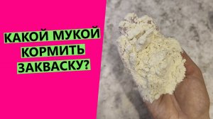 КАКОЙ МУКОЙ🧐 КОРМИТЬ ЗАКВАСКУ?