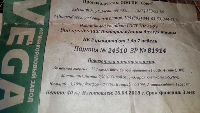 ЦЫПЛЯТА 19 ДНЕЙ... ПОМЕСИ АВСТРОЛОРПА, БРАМА И КУЧИНОК смотреть онлайн
