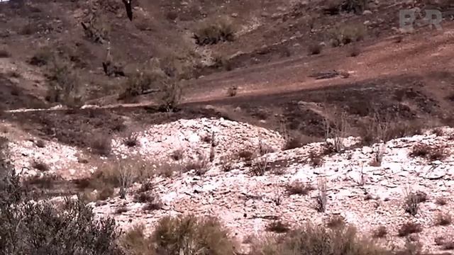 Bačiulis ir Ramanauskas pristato: Trumposios Žinios 20230104 IŠTRAUKA смотреть онлайн