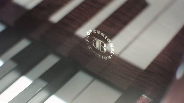 Brodmann grand piano played by Lili Liu for Australian piano Warehouse смотреть онлайн