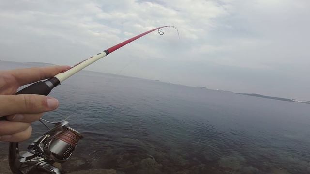 ЗВЕРСКИЕ ПОКЛЁВКИ на касании приманкой дна. Рыбалка во Владивостоке с берега. Японское море. 2019/0 смотреть онлайн