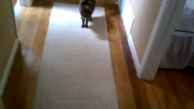 Страшный ковер 