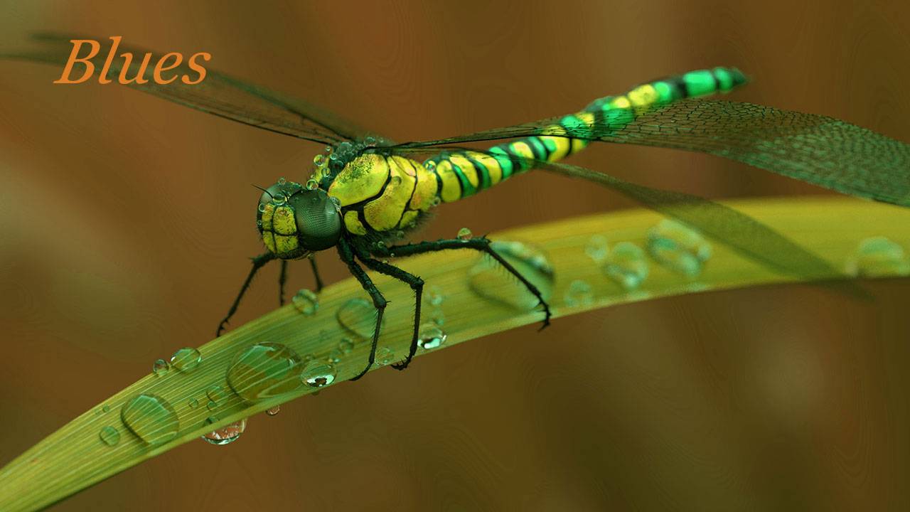 Стрекозиный блюз 016. & Dragonfly blues. смотреть онлайн