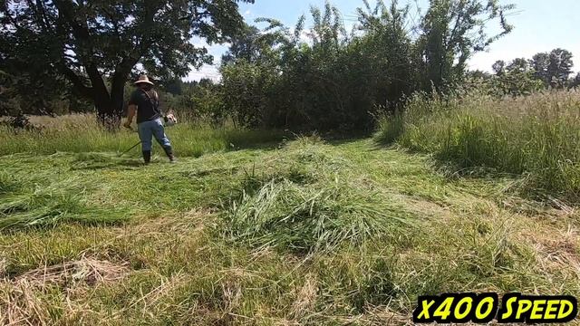 Stihl 3-Point Brush Knife Review! | Stihl FS 131 Brush cutter #Stihl #Satisfying смотреть онлайн