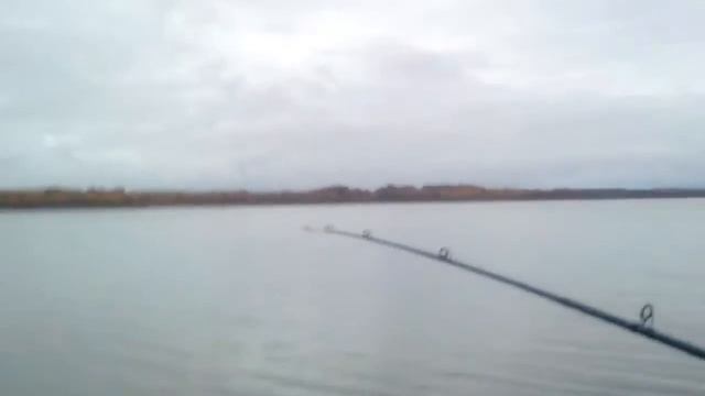 Сулежский Борок 10.10.2018 год 16 смотреть онлайн