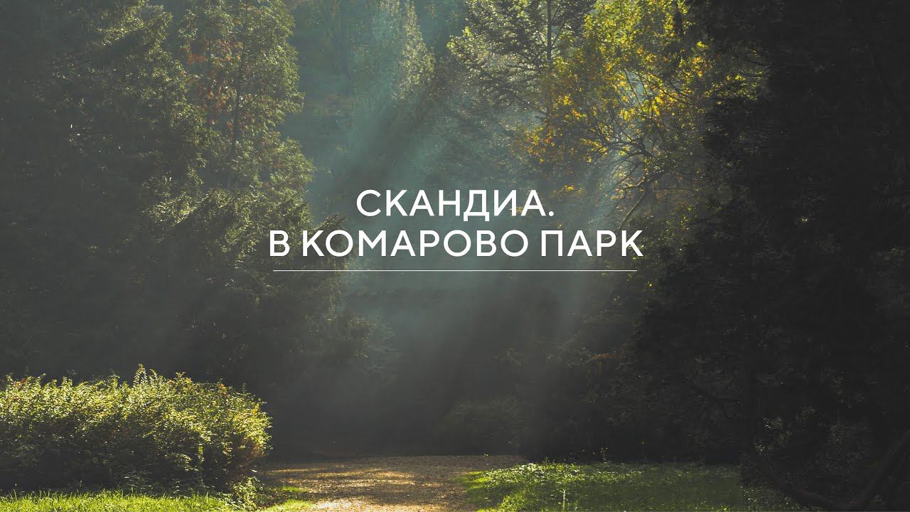 Презентация Комарово Парк смотреть онлайн