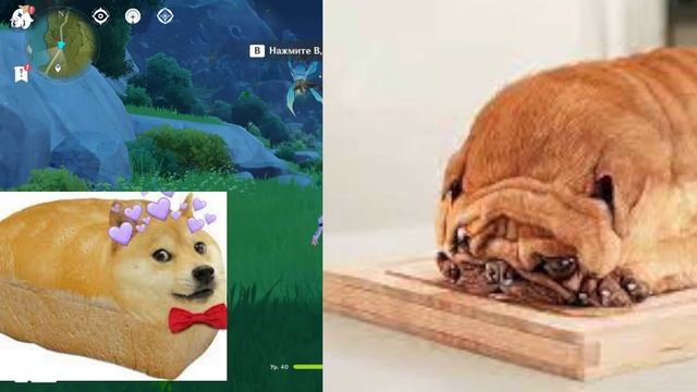 Стрим по Геншин импакт | Stream Genshin Impact смотреть онлайн