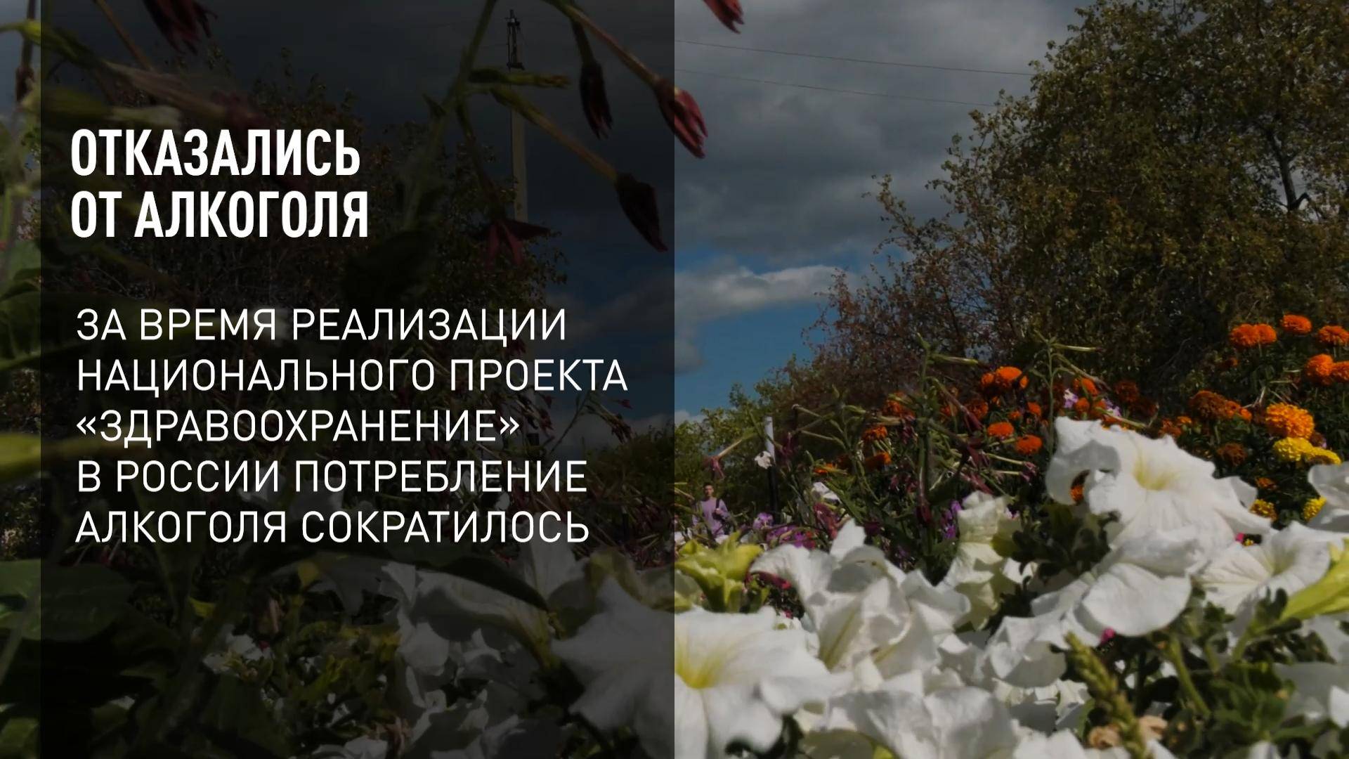 Отказались от алкоголя смотреть онлайн