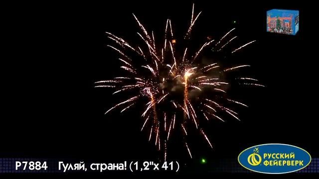 Гуляй, страна! P7884 смотреть онлайн