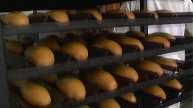 Печь хлебопекарная ротационная Муссон ротор модель 77M 01, 77М 02 смотреть онлайн