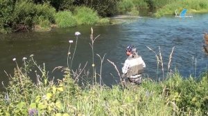 Рыбалка на Пьяне  Ловля голавля на спиннинг.