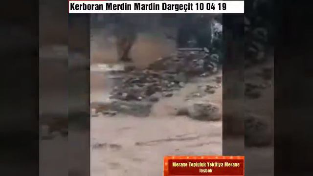 MARDİN DARGECİT MEHMET SELİM KAPLAN MERANELI смотреть онлайн