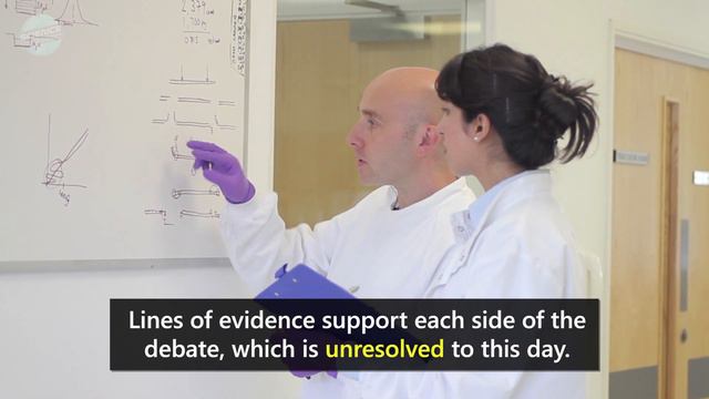 How Would Discovering Alien Life Affect Humanity? смотреть онлайн