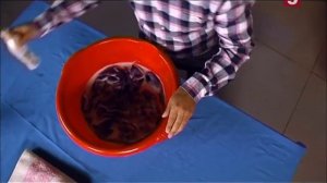 Как постирать мохер: "Проще простого!"