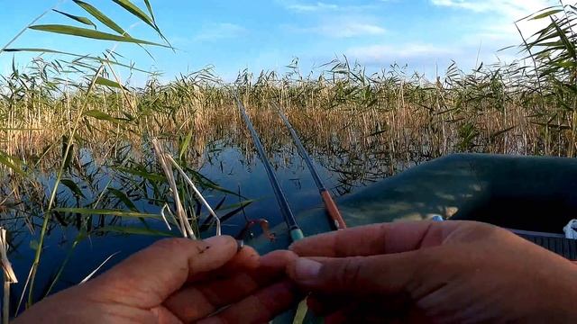 Карась тоже любит макароны с мясом. смотреть онлайн