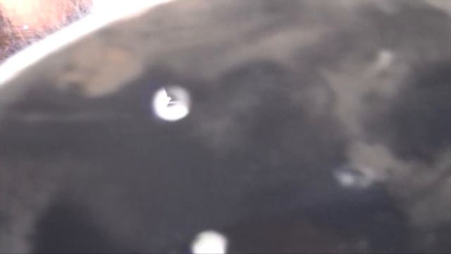 097→С.1 ?ДЕЛАЮ ИЗМЕЛЬЧИТЕЛЬ ВЕТОК?, ЛИСТЬЕВ ☘️ И ТРАВЫ ? смотреть онлайн