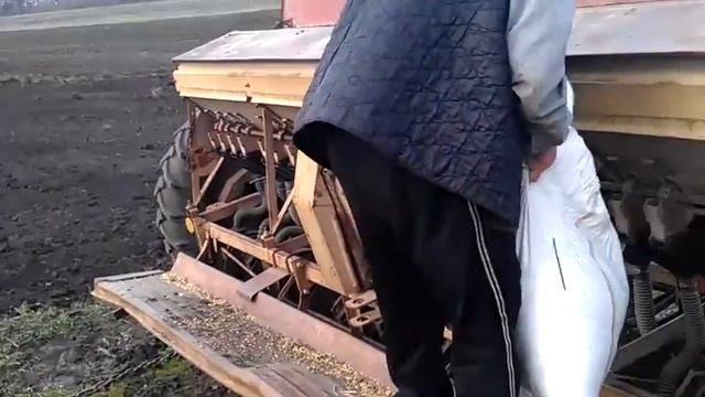 Как мы сеем ячмень дома смотреть онлайн