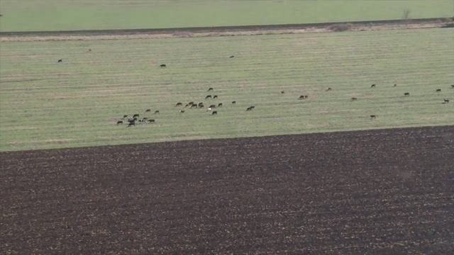 Кочубеевский район - территория для жизни.