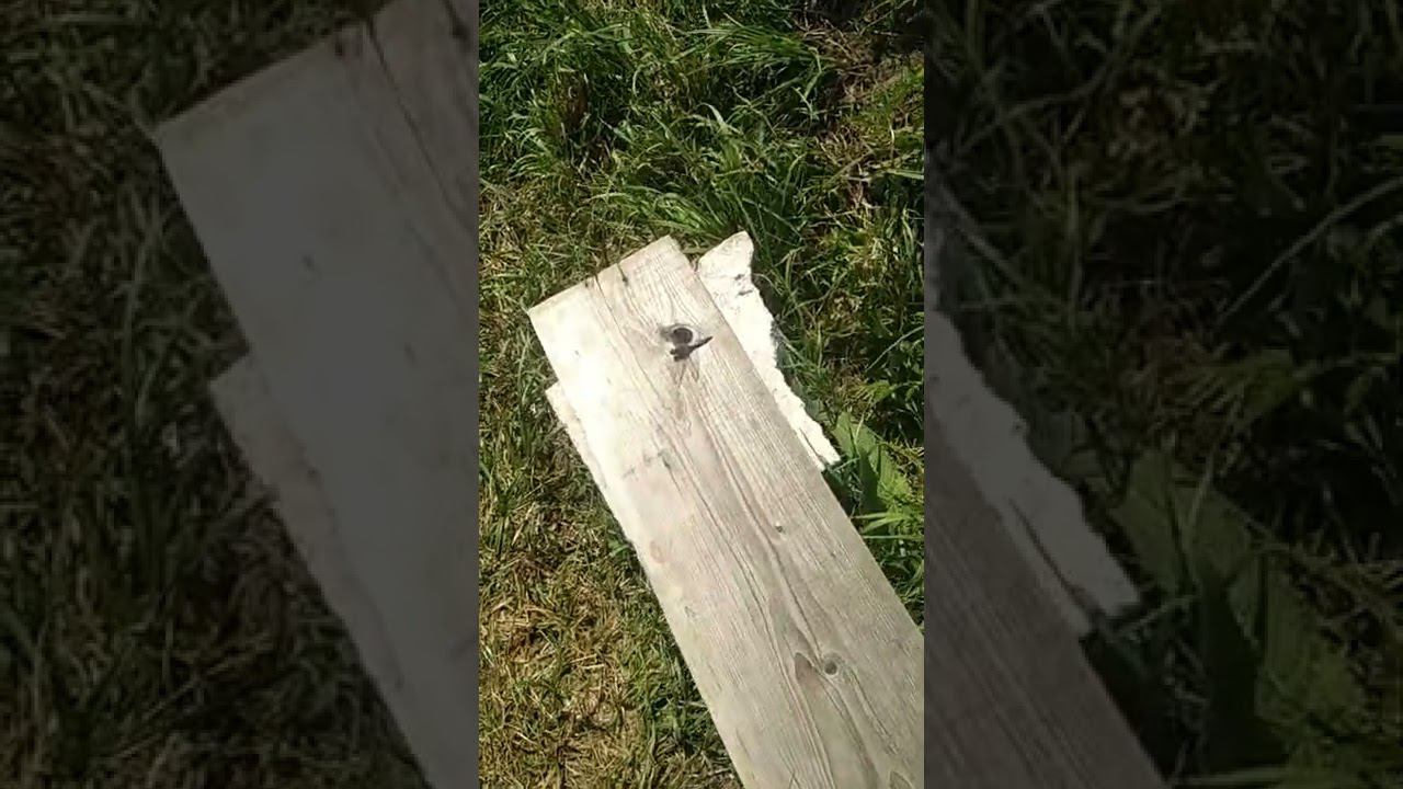 Стрекоза и лавочка смотреть онлайн