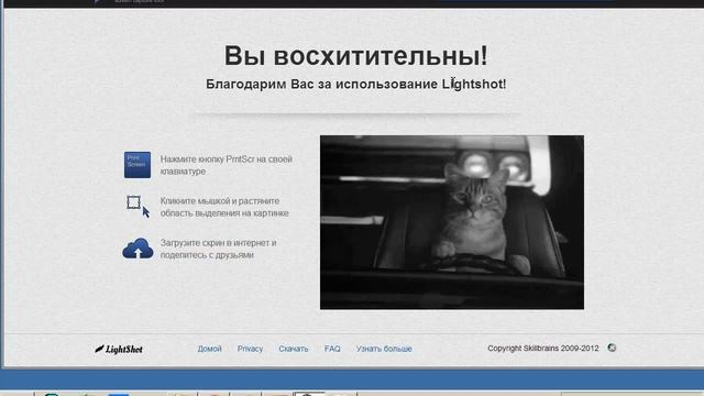 Как сделать скриншот программой Lightshot