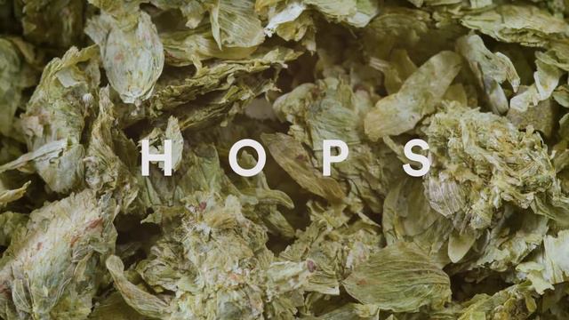 Bench Brewing Chapter 11 - Community Range смотреть онлайн