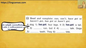 Spotlight (английский в фокусе) 3 класс Грамматический тренажер страница 54 номер 11 ГДЗ решебник