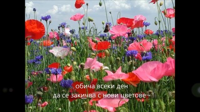 Прекрасният Май - стих, пожелание смотреть онлайн
