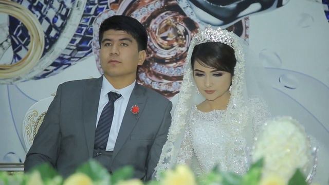 ПИТНАК ТУЙ PITNAK TO'Y смотреть онлайн