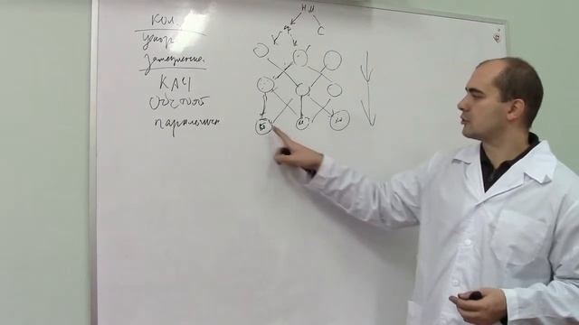 Лекция 2 4 Обстоятельность и ригидность смотреть онлайн