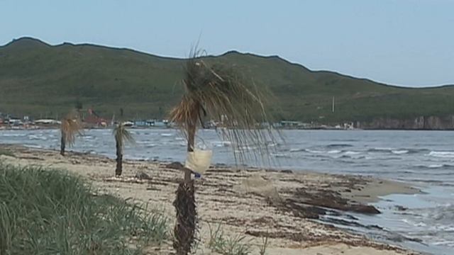 пальмы на Маньчжурке 1 смотреть онлайн