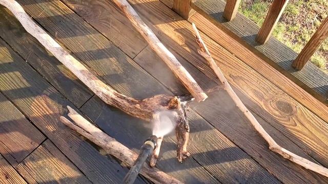 Collecting rocks and driftwood for an aquarium смотреть онлайн