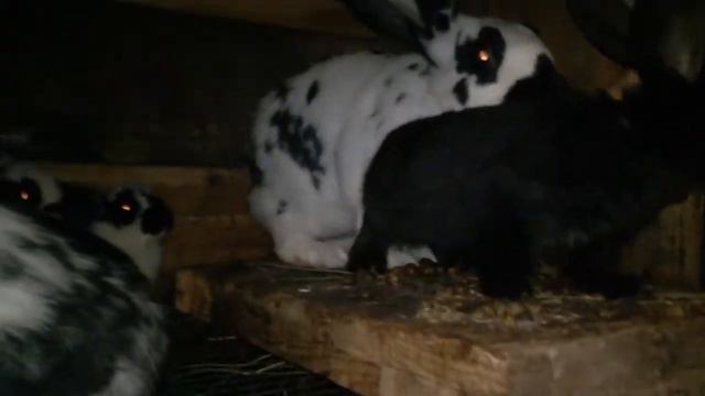 Вот и день пролетел,закоптили рыбку.