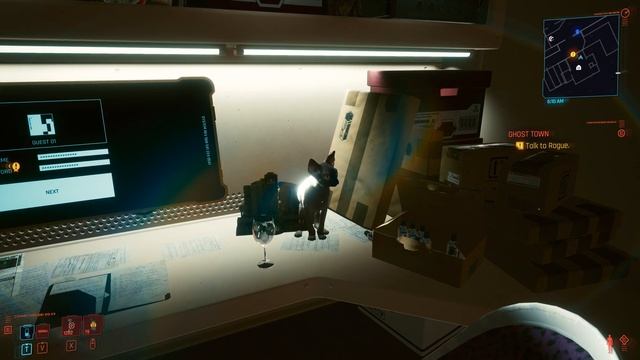 Cyberpunk 2077 - Getting Nibbles the Secret Pet Cat (Plus ALL THE PLACES He Spawns in V's Apartment смотреть онлайн