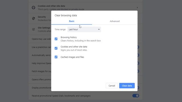 How To Clear Your Cache On The Opera Web Browser | PC | *2023  ?