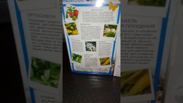 VID 20180824 104326 смотреть онлайн