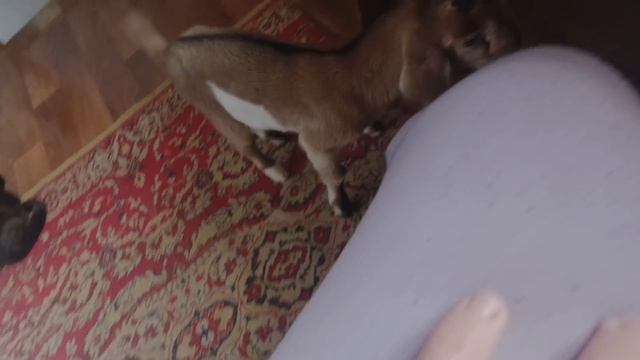 Работы полно.. Есть нечего )))) смотреть онлайн