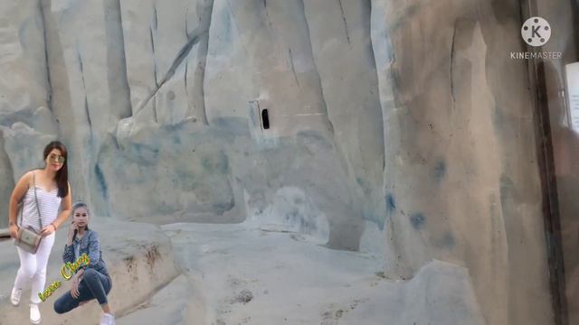 THE DOLPHINS 🐬 SOUTH POLE SPECTACULAR in Ocean Park HONGKONG #iamChey смотреть онлайн