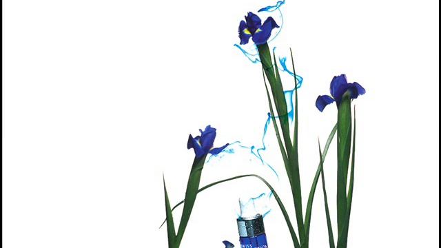 High-end Cellular Cosmetic 'Swiss Perfection' смотреть онлайн