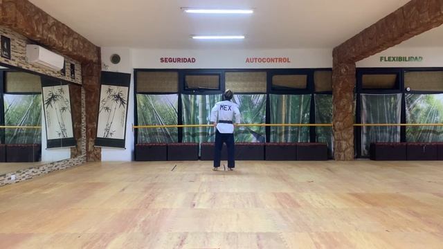 Semi Final Jinyoung Seo Dan U30 M KOR VMCOPC21 смотреть онлайн