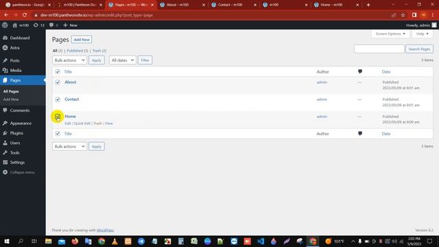 WordPress Site এর তৈরিকৃত পেজ ডিলিট করবেন কিভাবে | Pantheon.io সাইটটির Page ডিলিট করুন খুব সহজেই смотреть онлайн