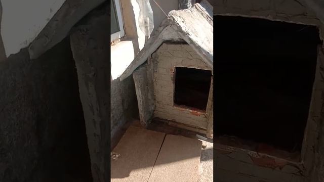 как пережила зиму будка из пеноплекса? смотреть онлайн