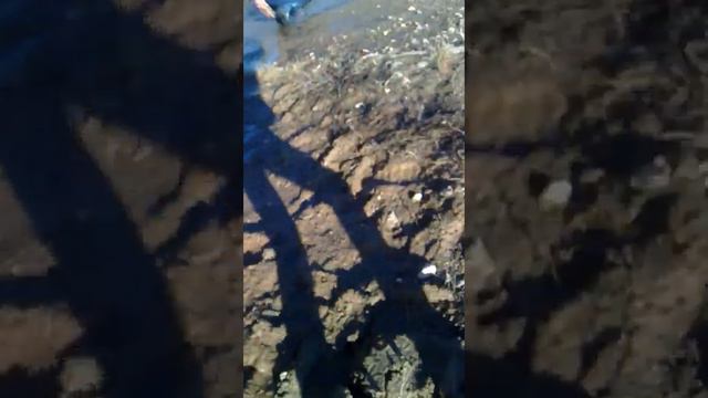 Наши детские новости.Как у нас в городе тает снег. смотреть онлайн