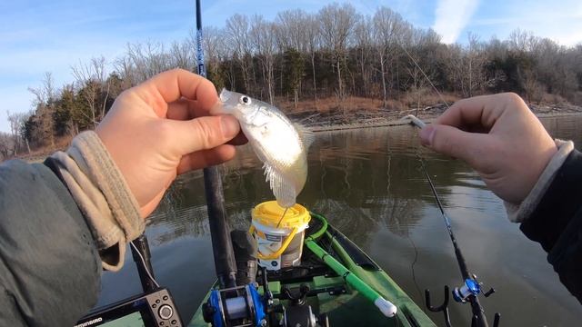GULP MINNOW VS LIVE MINNOWS FOR CRAPPIE which catches more fish? смотреть онлайн