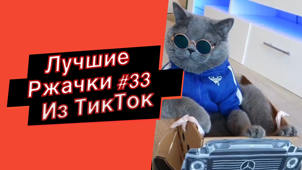 ПРИКОЛЫ ИЗ ТИК ТОК РЖАЧКИ ИЗ ТИК ТОК ЛУЧШИЕ ПРИКОЛЫ 2021 ПРИКОЛЫ С ЖИВОТНЫМИ ИЗ ТИК ТОК смотреть онлайн