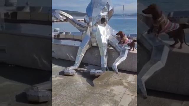 Скульптура из нержавеющей стали ОСЬМИНОГ. смотреть онлайн