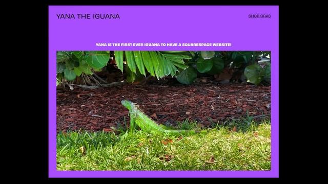 A Color Palette I WISH I Tried Earlier as a Full-Time Artist смотреть онлайн