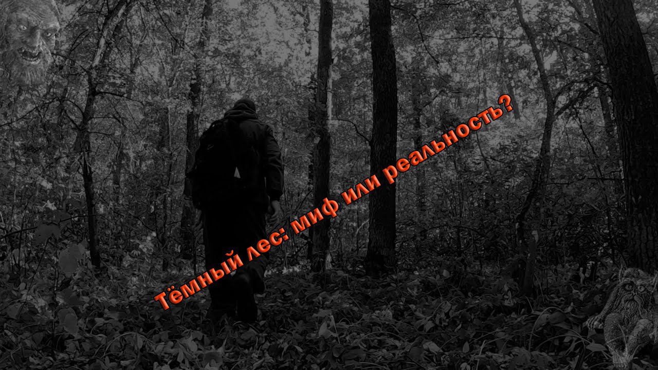 Темный лес