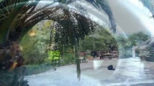 проблема с кислородным датчиком на#  subaru forester #